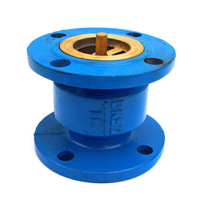 DN50 DN80 Corps de soupape de vérification en fonte de fer ductile pour tuyaux à huile